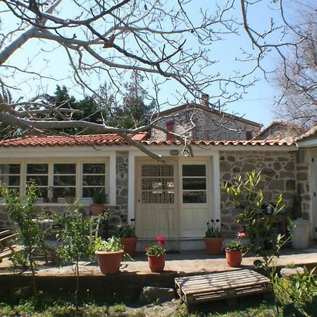 Arcadia Eressos Ξενοδοχείο Εξωτερικό φωτογραφία