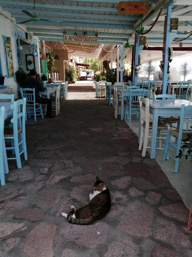Arcadia Eressos Ξενοδοχείο Εξωτερικό φωτογραφία