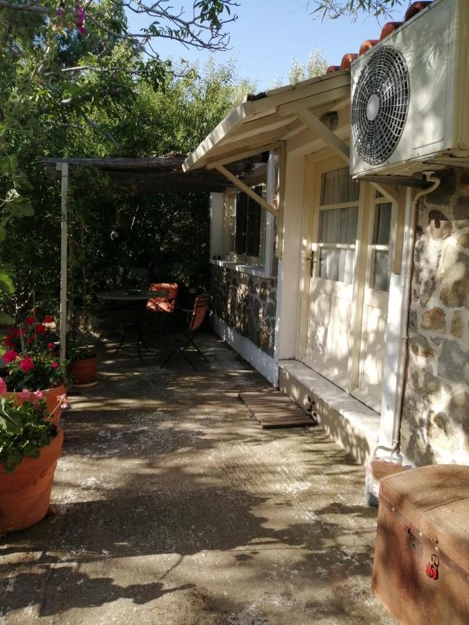 Arcadia Eressos Ξενοδοχείο Εξωτερικό φωτογραφία