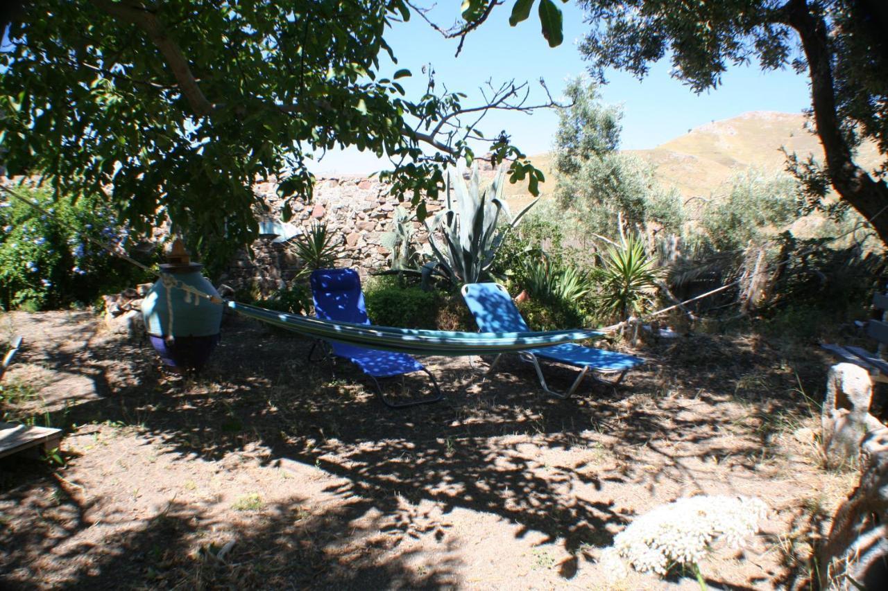 Arcadia Eressos Ξενοδοχείο Εξωτερικό φωτογραφία