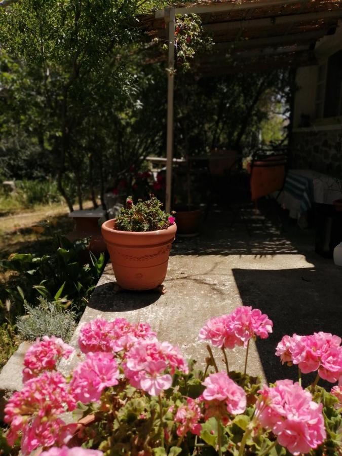 Arcadia Eressos Ξενοδοχείο Εξωτερικό φωτογραφία