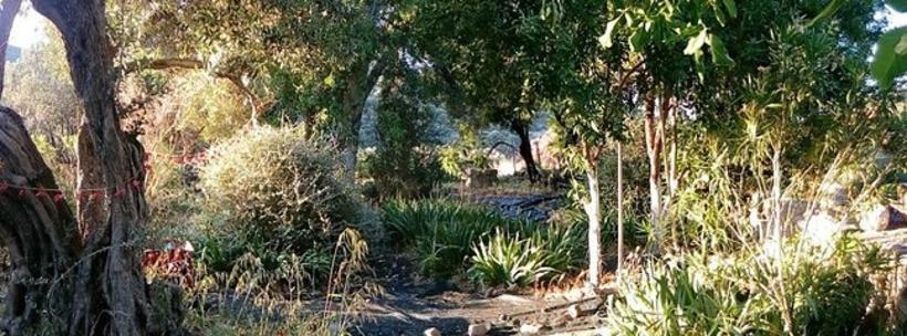 Arcadia Eressos Ξενοδοχείο Εξωτερικό φωτογραφία