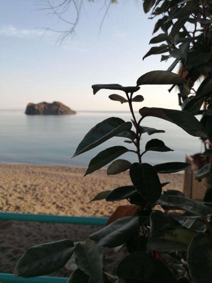 Arcadia Eressos Ξενοδοχείο Εξωτερικό φωτογραφία