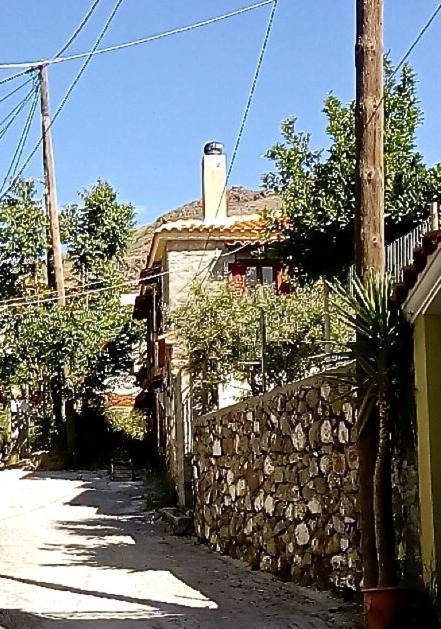 Arcadia Eressos Ξενοδοχείο Εξωτερικό φωτογραφία