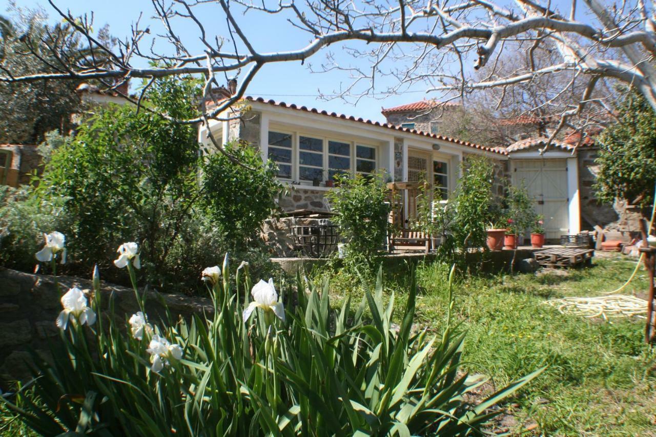 Arcadia Eressos Ξενοδοχείο Εξωτερικό φωτογραφία