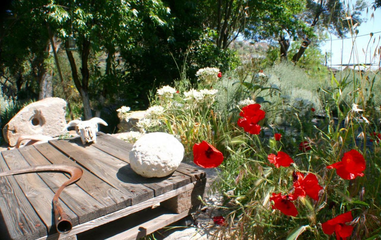 Arcadia Eressos Ξενοδοχείο Εξωτερικό φωτογραφία